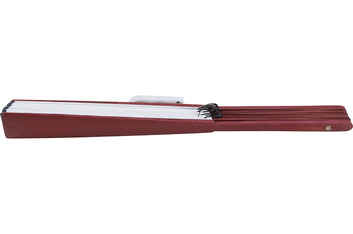 Double Taichi Fan, Illuminated Display
