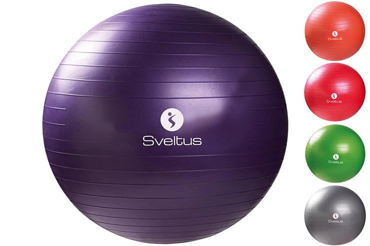 Gymball (Ø55/Ø65/Ø75 cm) - Sveltus