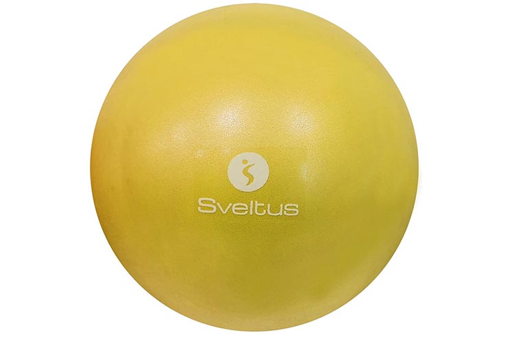 Ballon pédagogique (Ø22/Ø24 cm) - Sveltus