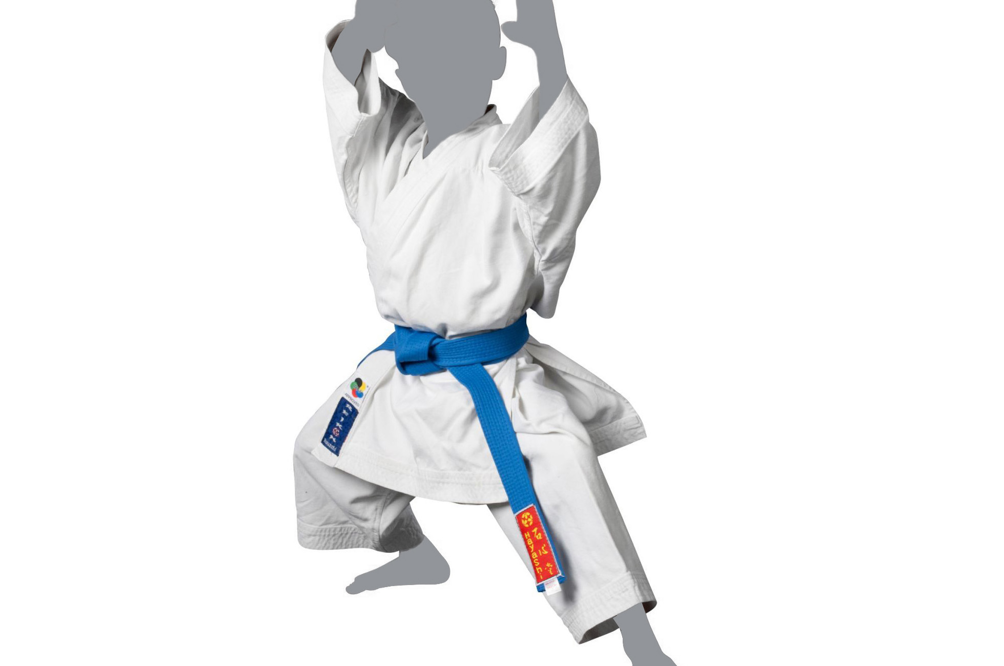 Protège-tibias et pieds de Karaté Hayashi - Bleu - Approuvés WKF – Dragon  Bleu