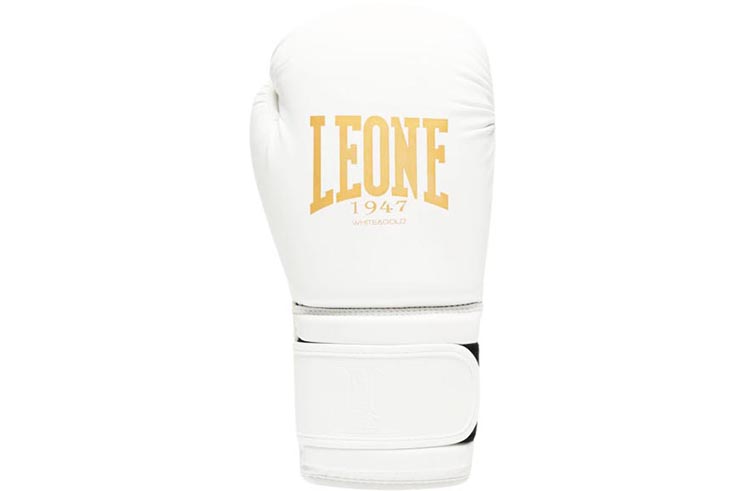 Training Boxing gloves - MAT EDITION, Leone