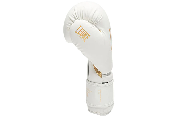 Training Boxing gloves - MAT EDITION, Leone