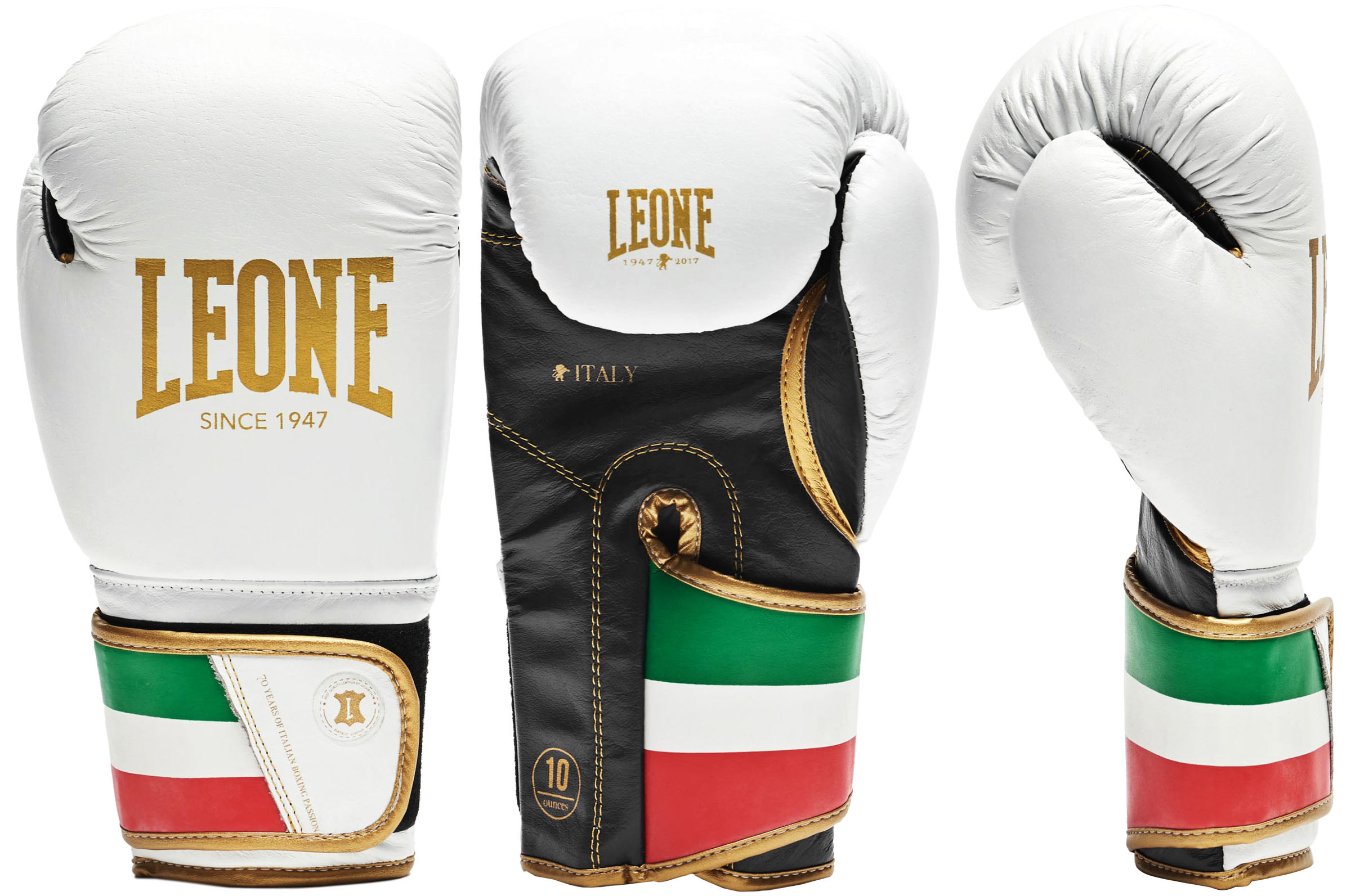 Boxing gloves, Buffalo leather - Italy 47, Leone - DragonSports.eu