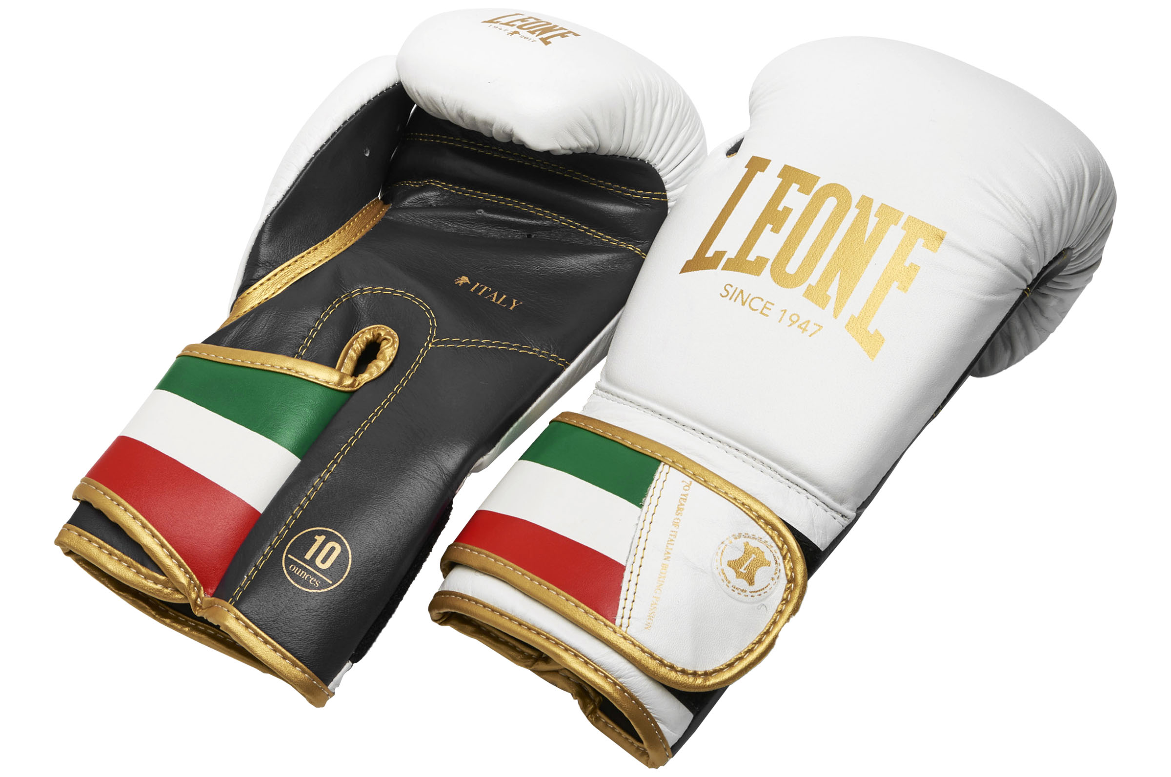 Boxing gloves, Buffalo leather - Italy 47, Leone - DragonSports.eu