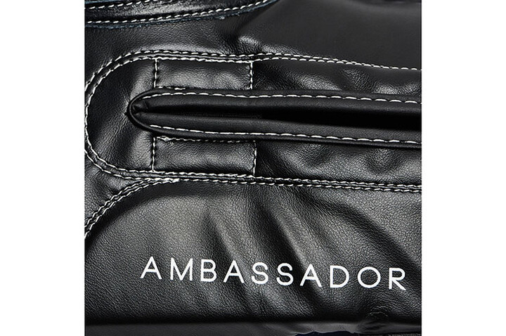 Boxing gloves - Ambassador, Leone