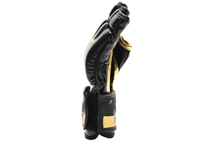 Luvas de MMA, Gama de alta qualidade - DNA, Leone