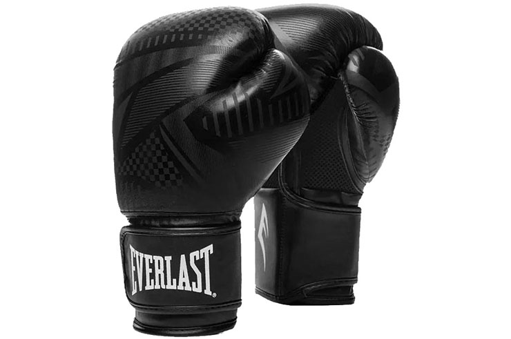 Boxing Gloves, Training - Spark, Everlast