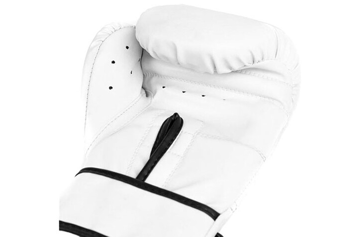 Luvas formação - Núcleo 2, Everlast