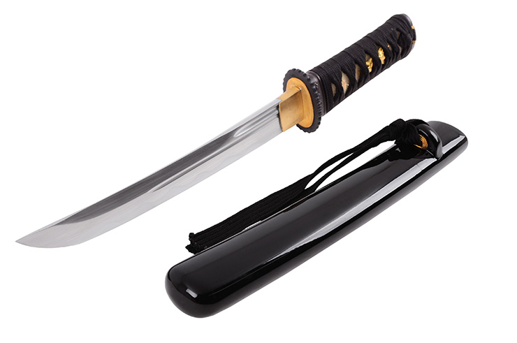 Tanto Fudoshin - Blade with Bohi, Sharpened
