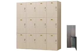 Set of 6 Storage Lockers, 100% Customizable