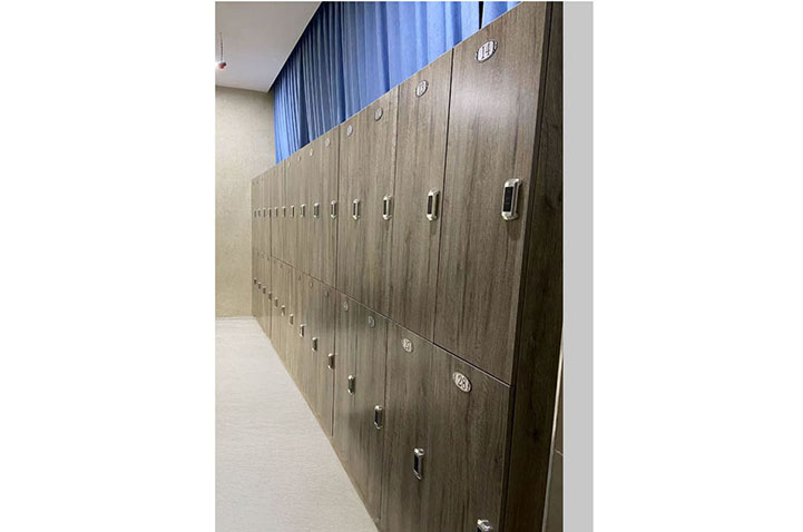 Set of 6 Storage Lockers, 100% Customizable