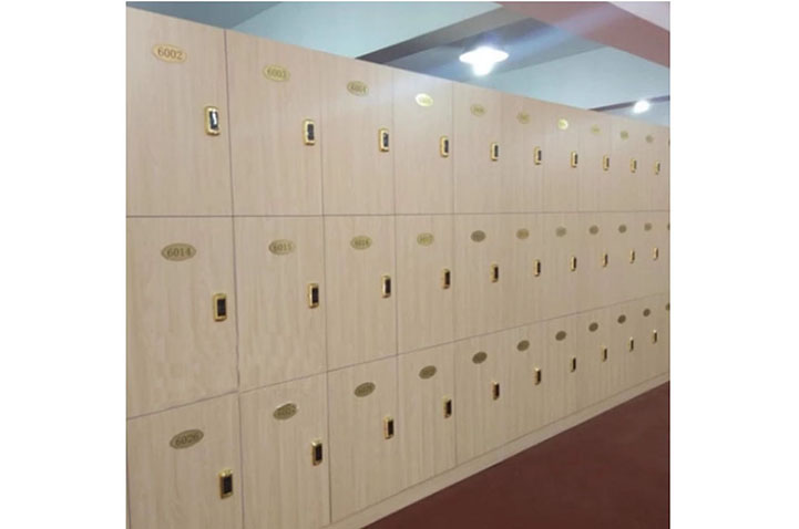 Set of 6 Storage Lockers, 100% Customizable