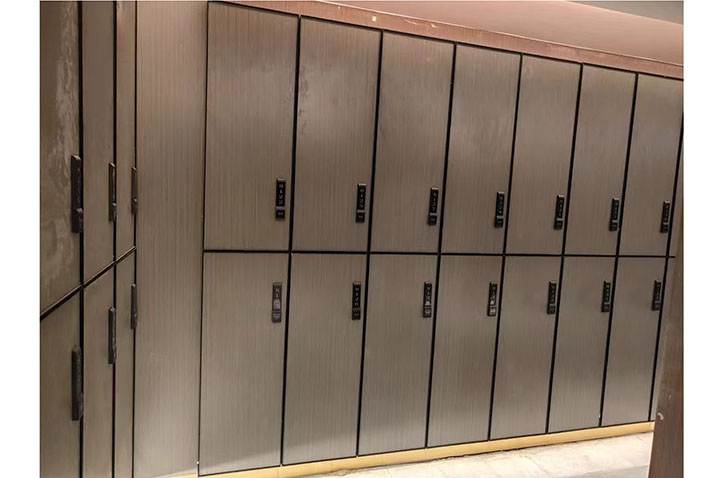 Set of 6 Storage Lockers, 100% Customizable