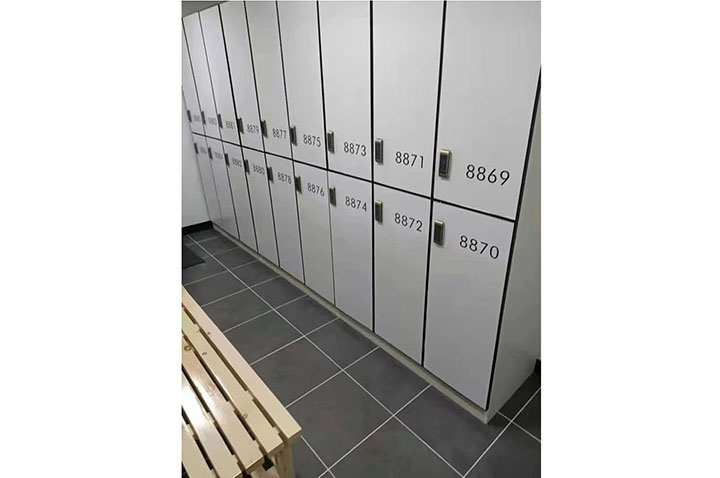 Set of 6 Storage Lockers, 100% Customizable