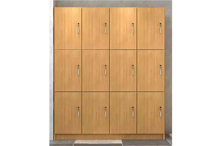 Set of 6 Storage Lockers, 100% Customizable
