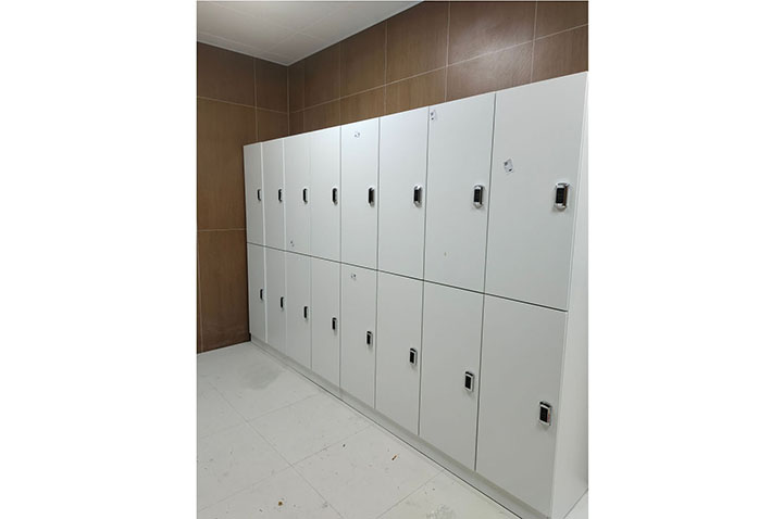 Set of 6 Storage Lockers, 100% Customizable