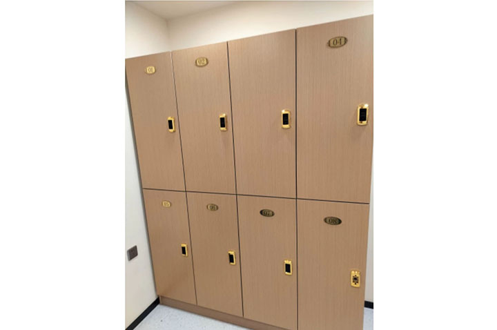 Set of 6 Storage Lockers, 100% Customizable