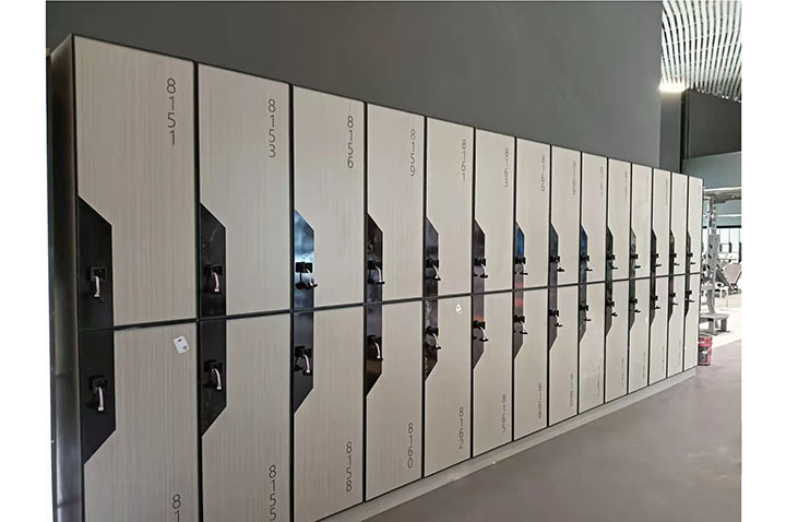 Set of 6 Storage Lockers, 100% Customizable