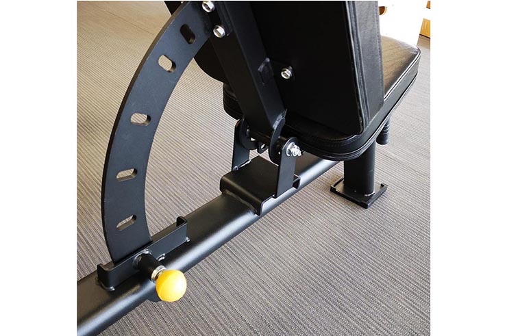 Banco de entrenamiento, Sveltus