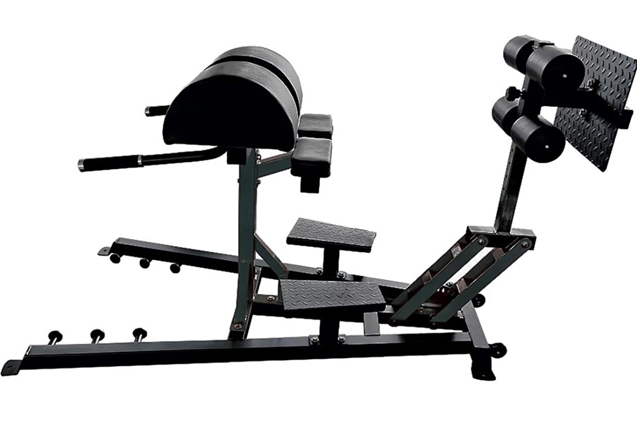 Banco de pesas profesional GHD Sveltus DragonSports.eu