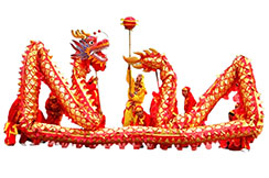 Traditional Dragon Dance Costume - High end, 9 persons