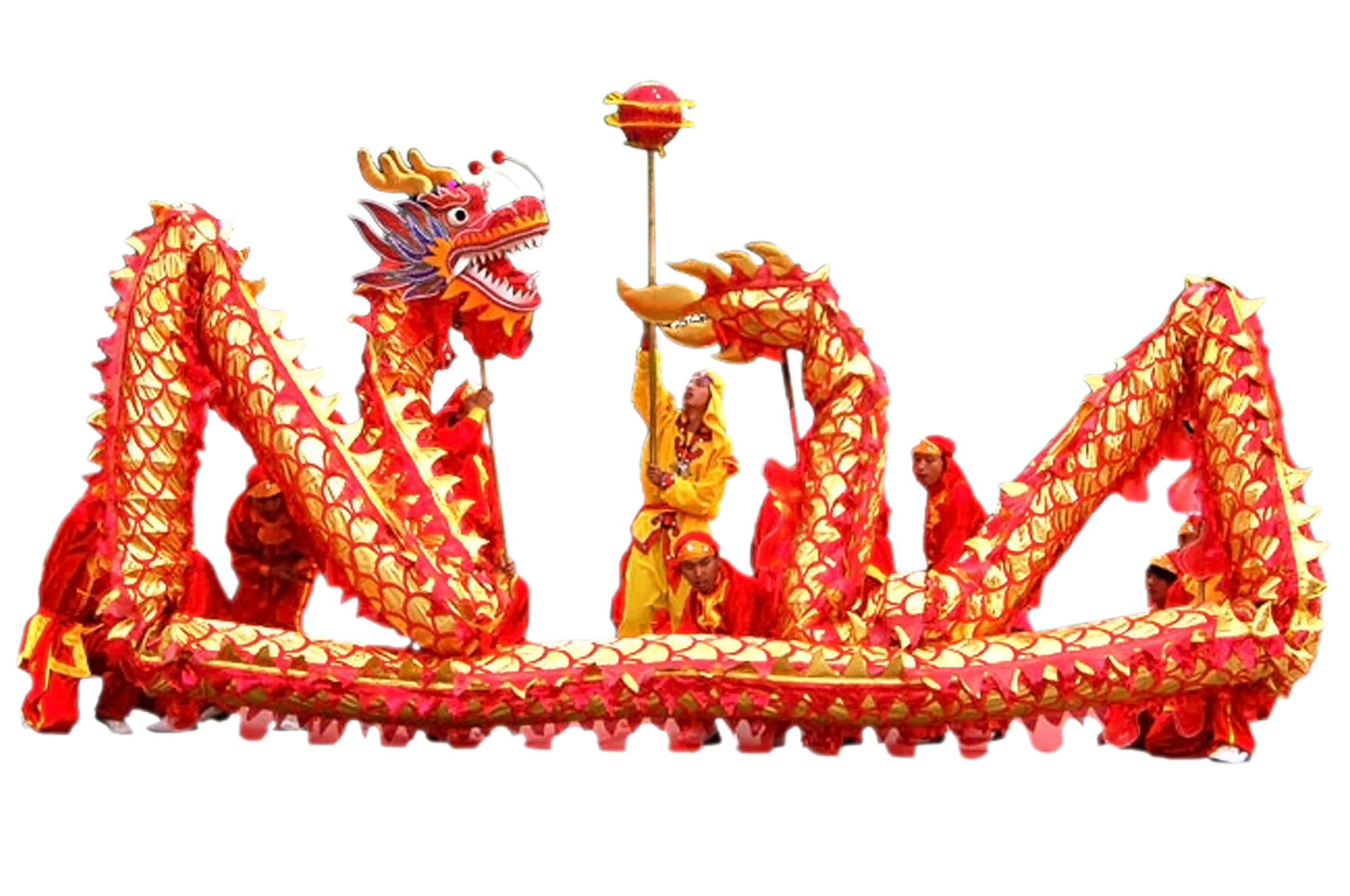Costume Traditionnel Danse du Dragon - Haut de gamme, 7 personnes 
