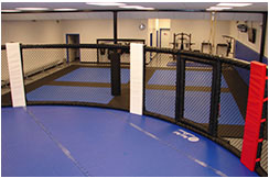Tatami for Martial Arts, MMA - Vinyl (M3)