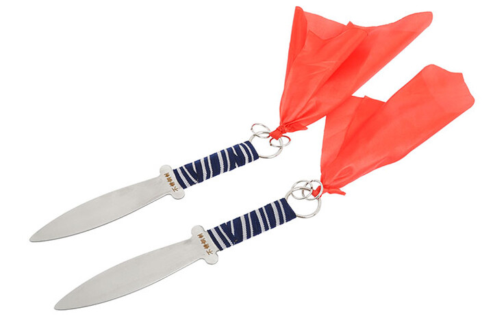 Par de adagas Cai Li Fo (Choi Li Fut), Iniciação (29 cm)
