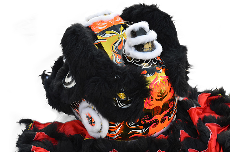 Lion Dance Costume, Southern Style - High end, Wan Ye