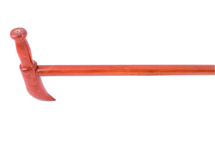 Shaolin Cane (Shaolin Zhang)