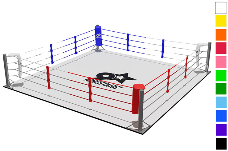 Ring de Boxe (Personnalisable) - avec sol complet