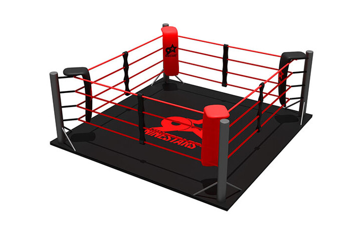 Ring de Boxe (Personnalisable) - Au Sol