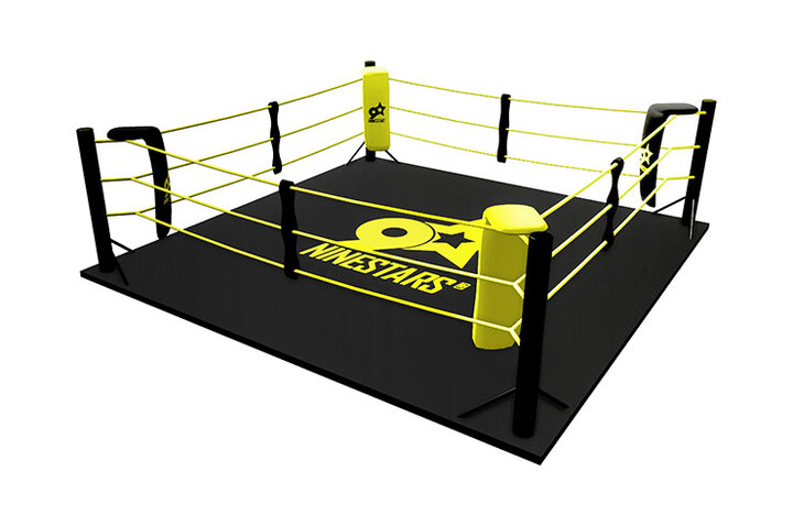 Ring de Boxe (Personnalisable) - Au Sol
