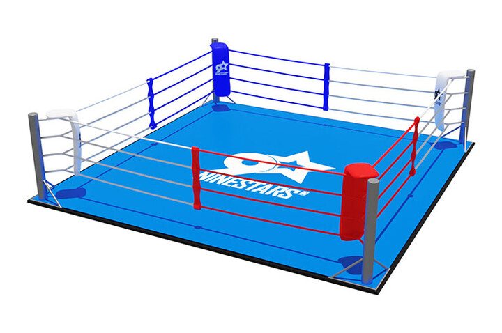 Ring de Boxe (Personnalisable) - Au Sol