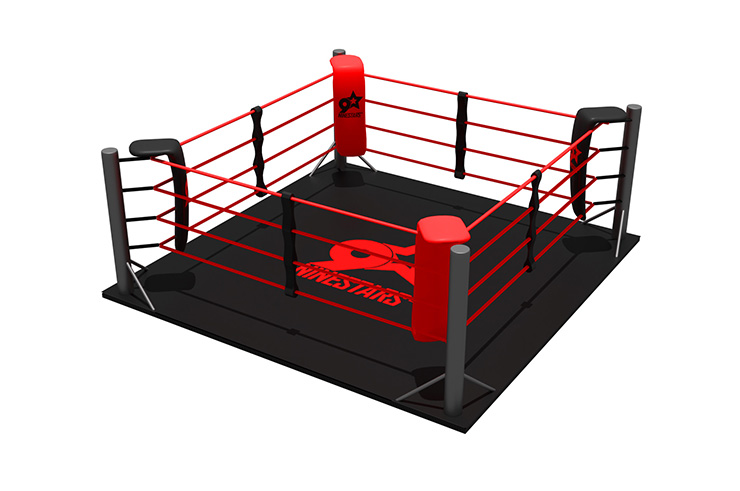 Ring de boxeo (personalizable) - con Suelo completo