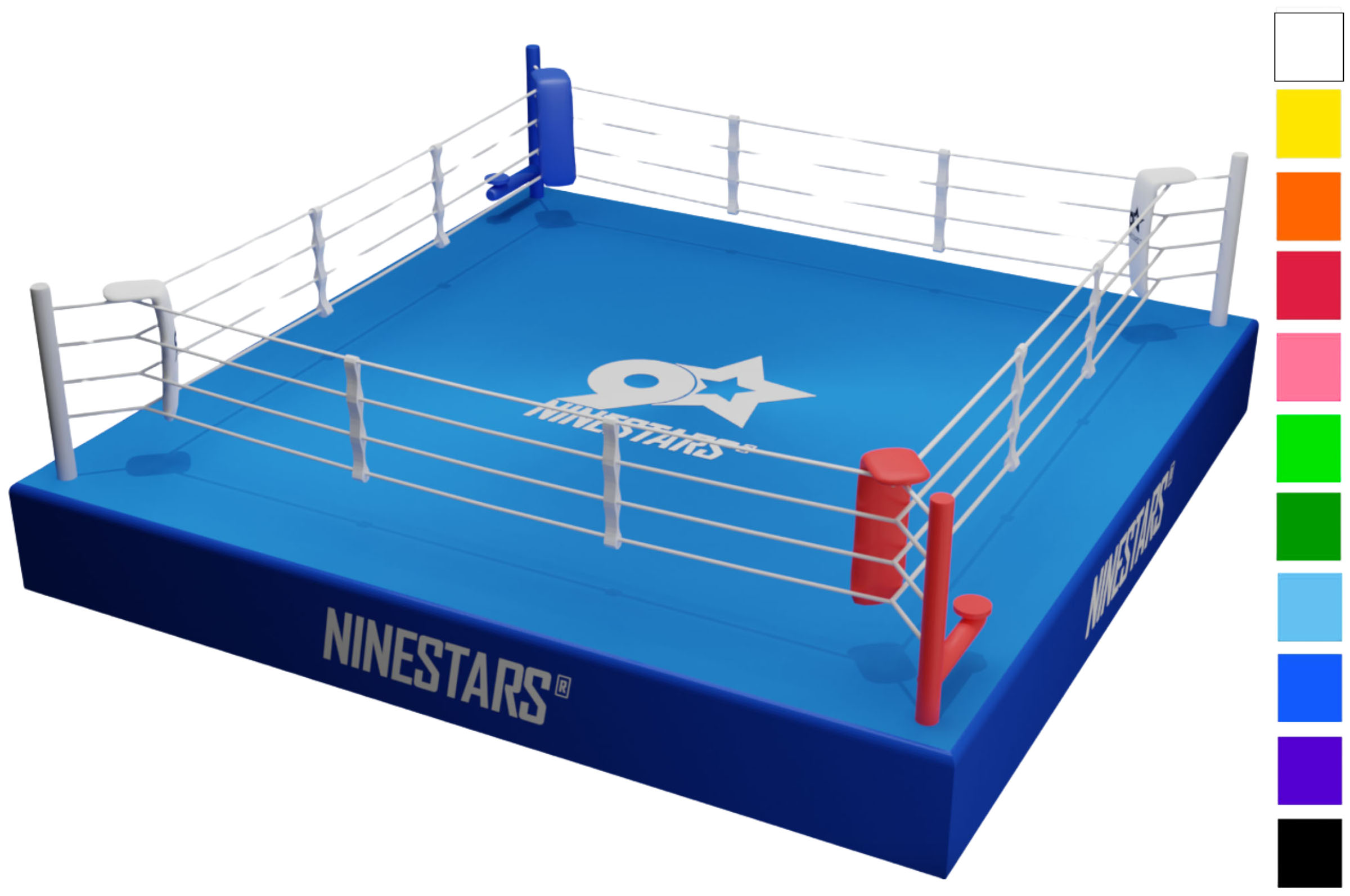 TITLE Boxing Professional Training Ring