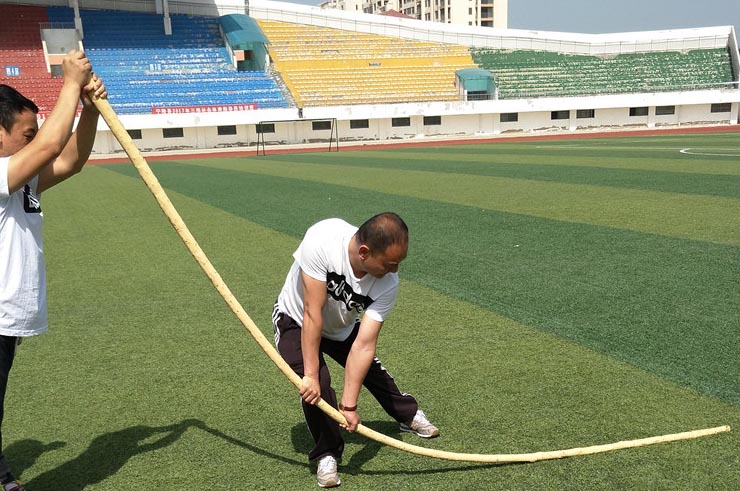 Wing Chun Pole 300cm (Dragon Pole) - Wax Wood