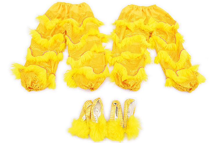 Traje Dança de Leão, Estilo de Sul - Amarelo & Ouro