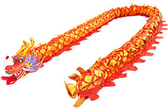 Dragon Costume, Red & Gold, Upper Range, 7 persons