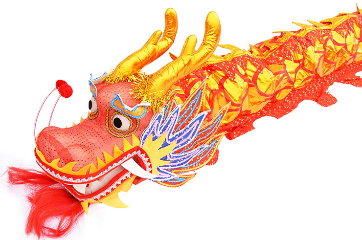 Traditional Dragon Dance Costume - High end, 7 persons
