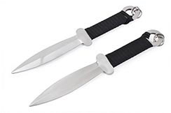 Pair of Cai Li Fo Daggers (Choi Li Fut), Stainless Steel (29 cm)