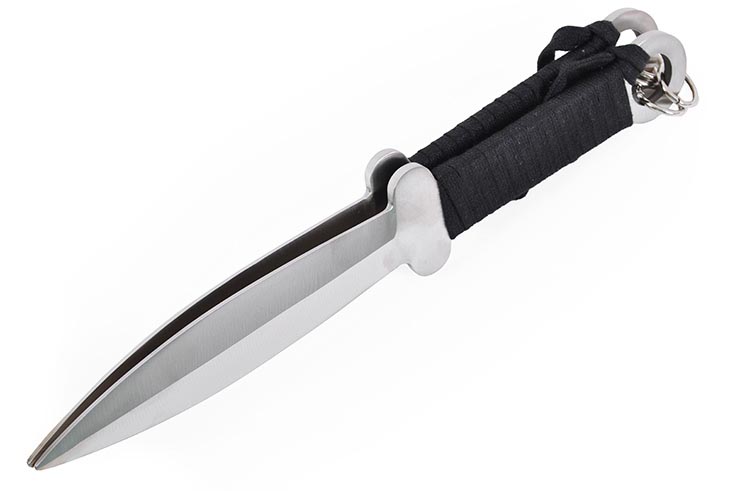 Pair of Cai Li Fo Daggers (Choi Li Fut), Stainless Steel (29 cm)