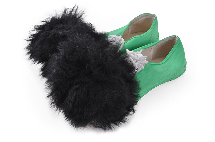 Chaussons danse du lion verts