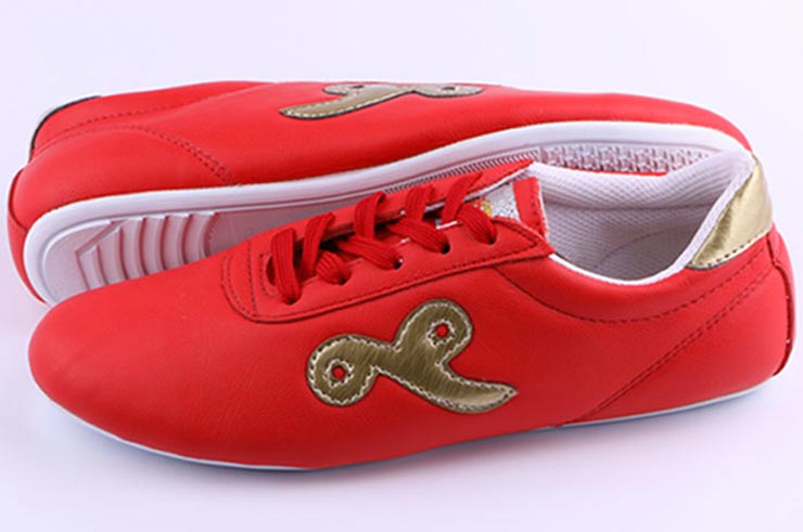 Zapatos Wushu, Ai Wu - Xiezi