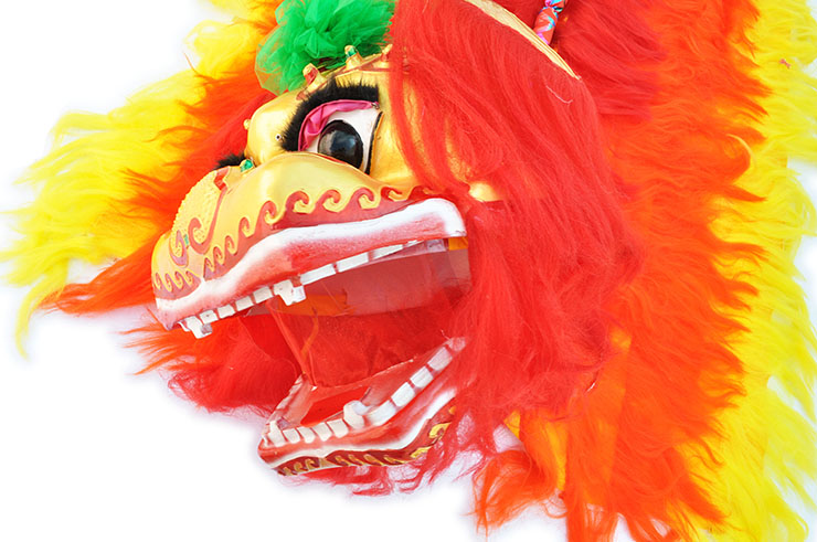Costume Danse du Lion, Style du Nord - Rouge & Jaune