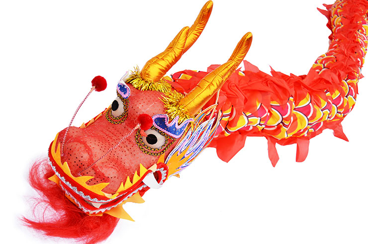 Dragon Dance Costume - 9 persons