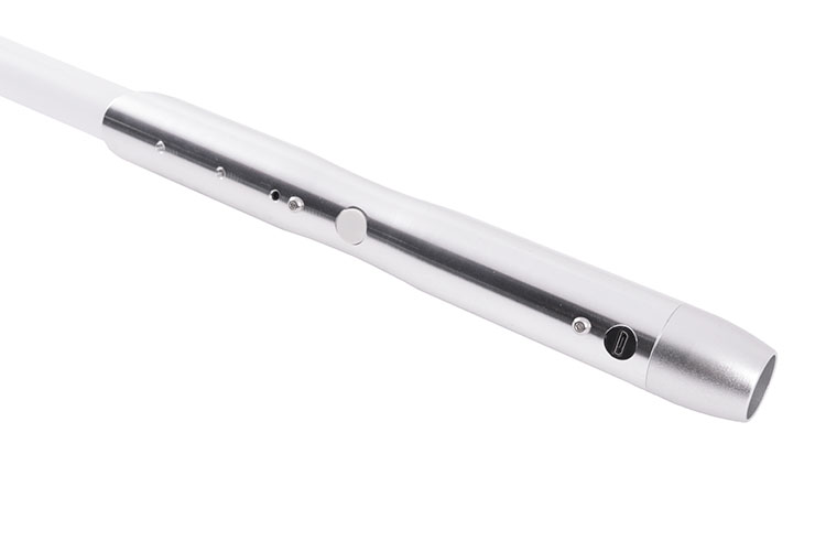 Sabre Laser, Formação