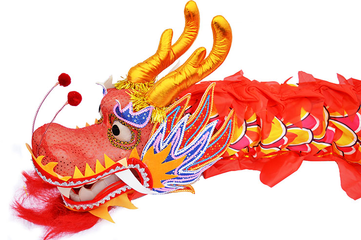 Dragon Costume, Red & Gold, 3 persons