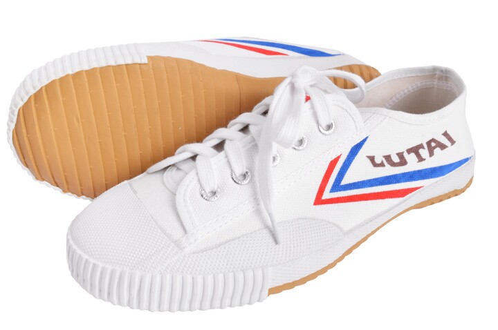 Sapatos Wushu Lutai