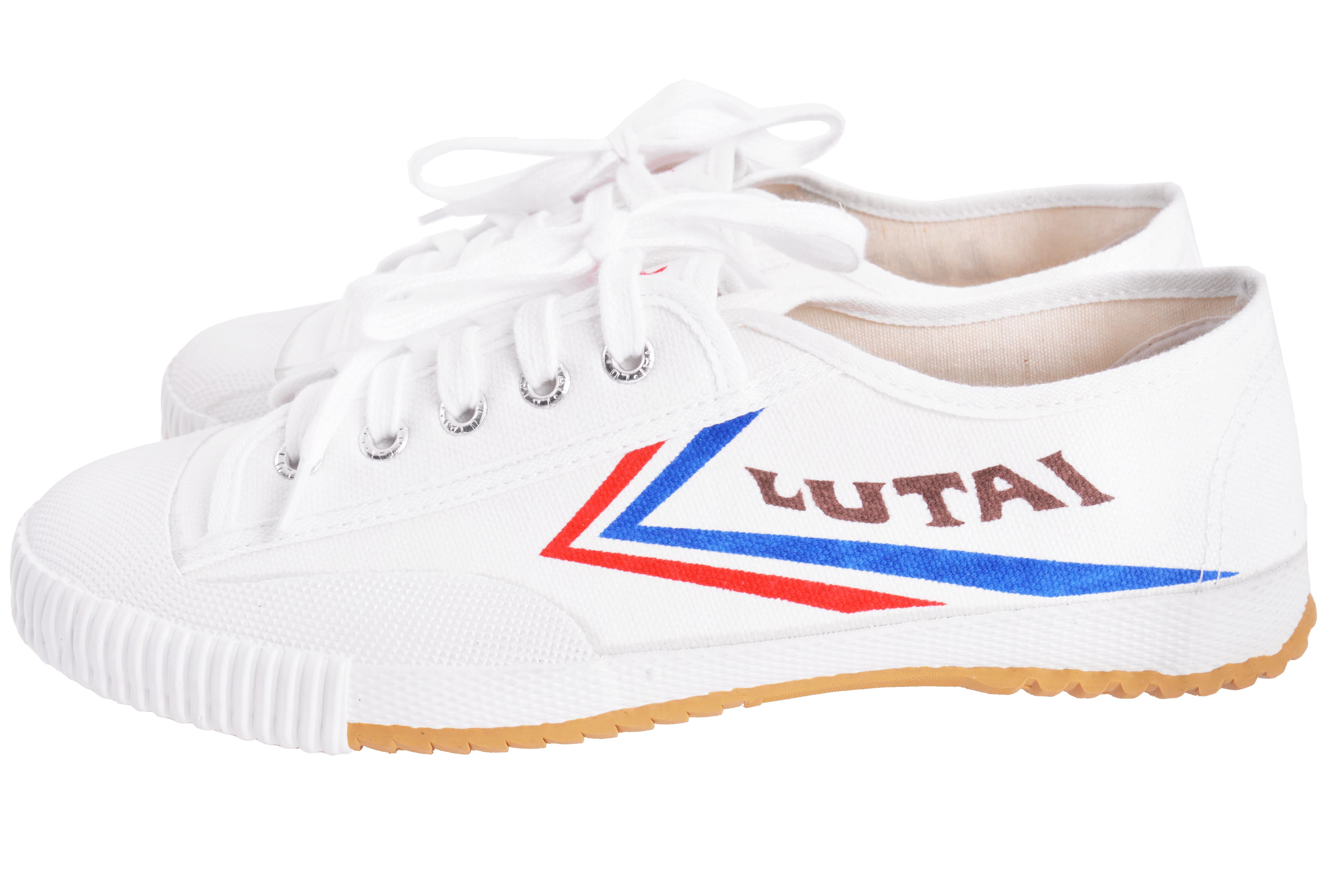 Sapatos Wushu Lutai